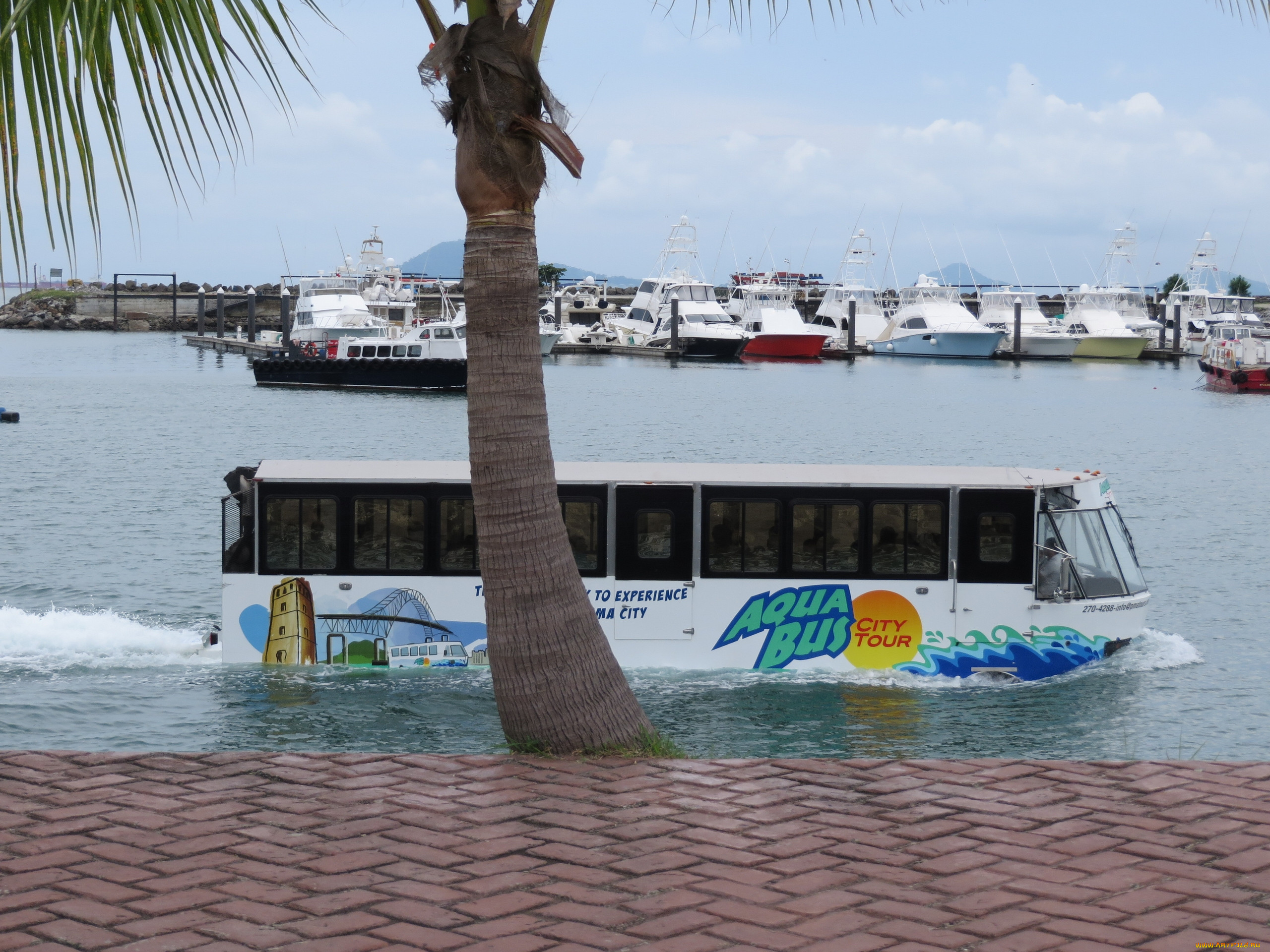 aquabus - panama city, ,  , , , , , aquabus, panama, city